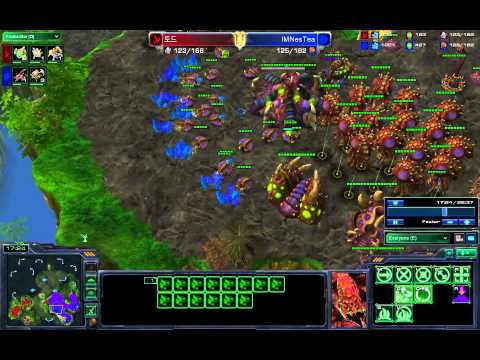 IMNestea vs  Tod Cast