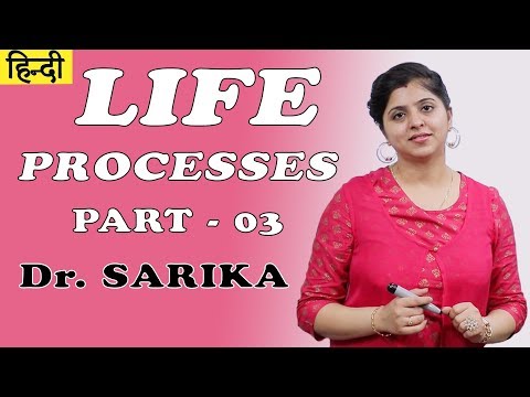 Life Processes for Class 10 | Science / Biology | Transportation In Humans | Dr. Sarika Video