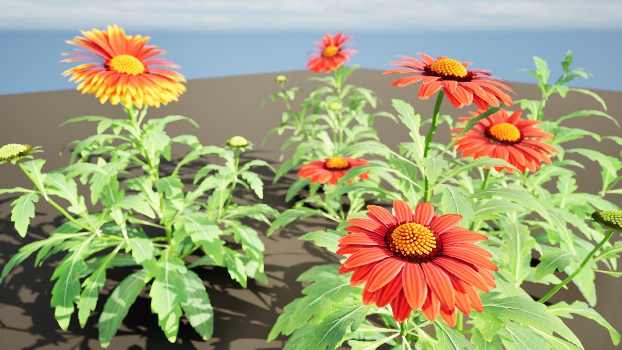 Arizona Red Shades flowers 3D Model