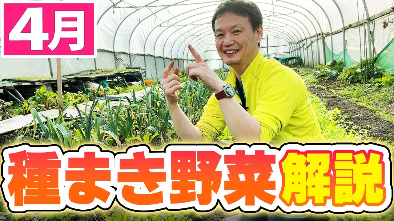 4月の自然栽培!種まきと育て方のコツ