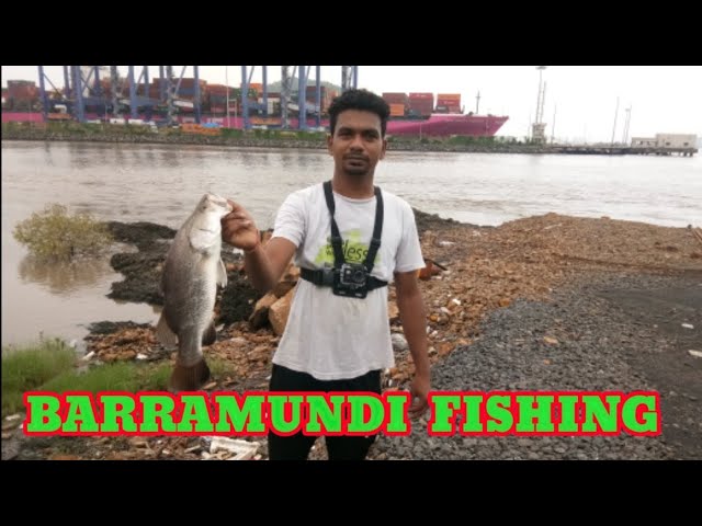 Judge.me YouTube video placeholder