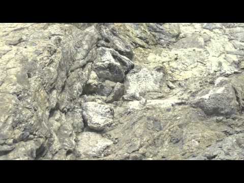 Devonian Fossil Gorge Walking Tour narrated by Jeffrey Miller