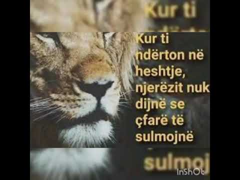 Burgu më i madh që jetojnë njerëzit është frika nga ajo se çfare të tjerët mendojnë për të.