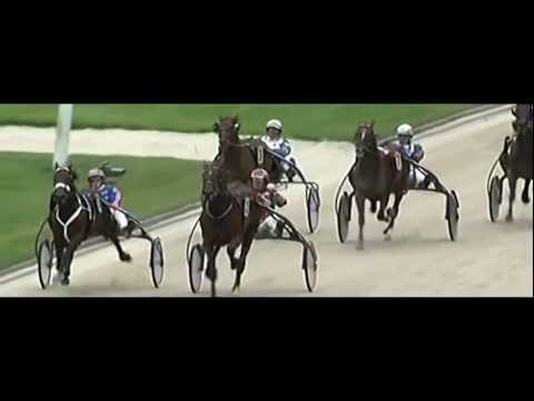 Deutsches Traber St.Leger 2012_Hengste_Quarter Session 1:16,9_Arnold J. Mollema