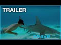 Sharkwater Extinction - Trailer | Now Streaming on Crave