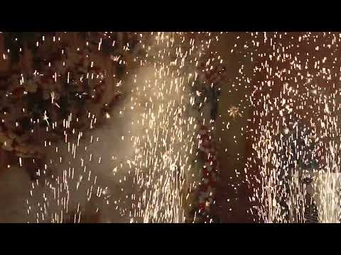 Deepak flower Shardhar contact no +916201631842