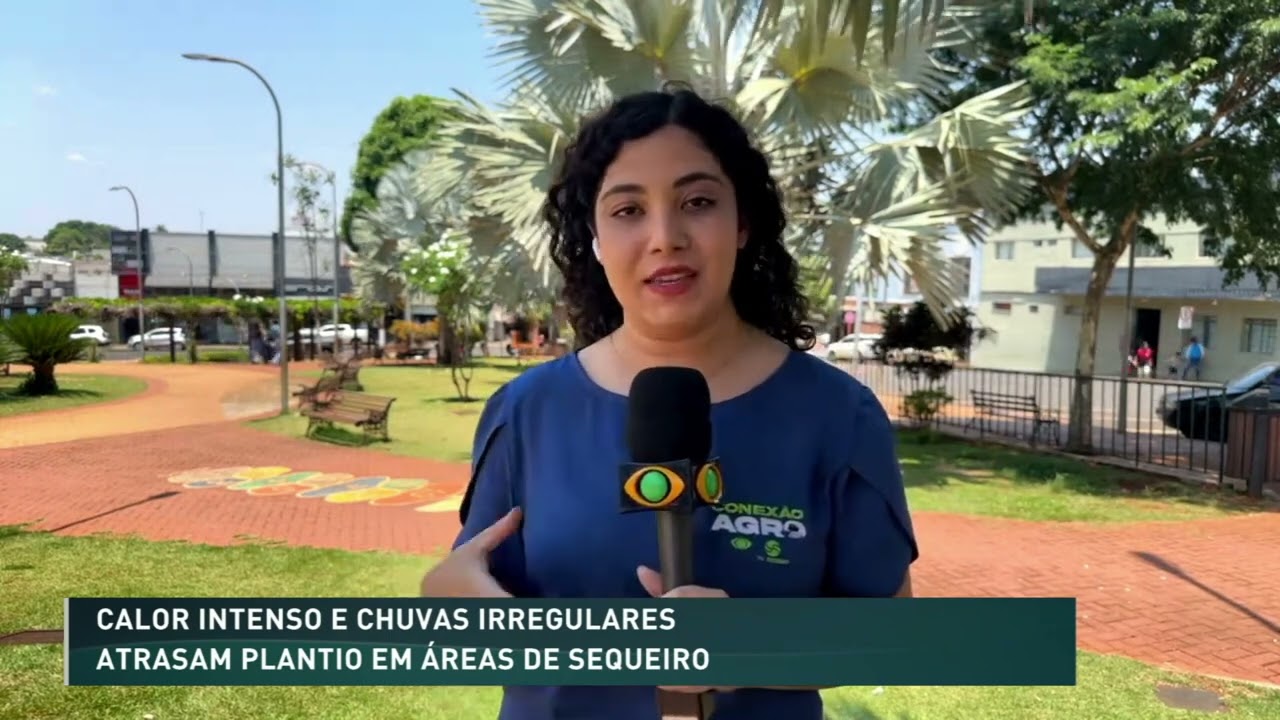 Calor e chuvas irregulares atrasam plantio em Goiás