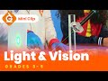 Science of LIGHT for Kids | Reflection & Vision | Lesson for Grades 3-5