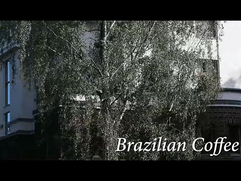 Reipas Longos - Brazilian Coffee (Official Video)