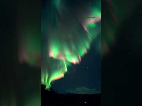 The strongest northern light of my life 😱😱😱