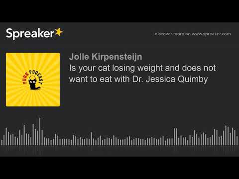 Is your cat losing weight and does not want to eat with Dr. Jessica Quimby