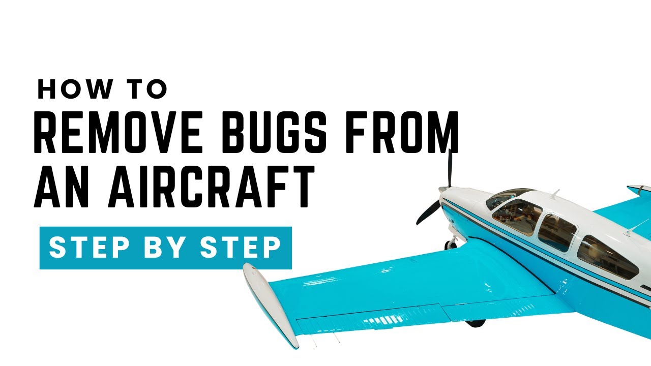 How to Remove Bugs from an Aircraft