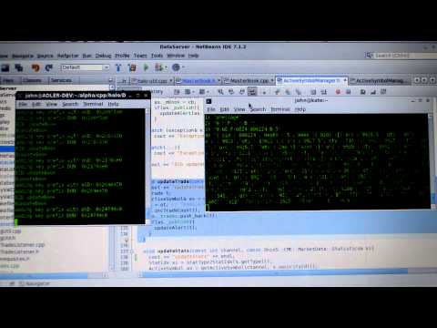 Halo: first run with Live CME data