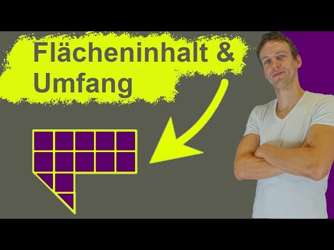 Flächeninhalt und Umfang - Einführung | Was ist eine Fläche? Inklusive Aufgabe mit Lösung