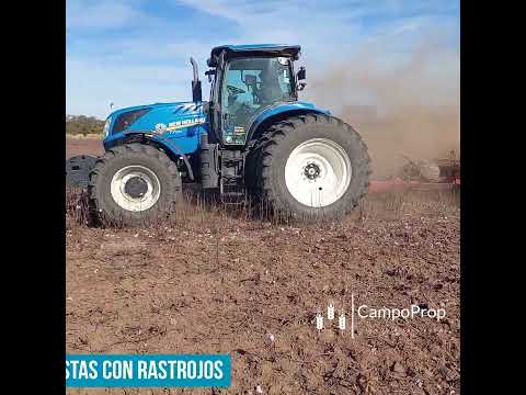 ALQUILER CAMPO 1.970 HAS. (APTAS SIEMBRA) ZONA PINTO, SANTIAGO DEL ESTERO