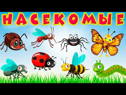 Насекомые для детей 🐝 Учим насекомых 🐞 Насекомые мультик 🐜 Насекомые звуки 🕷 Развивающие мультики