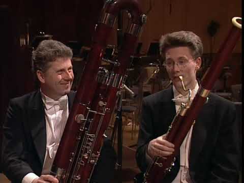 Sigurd og Symfoniorkesteret - Fagot