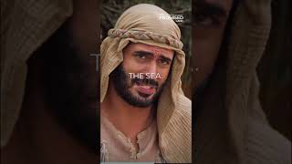 An Egyptian on the way to the promised land is CRAZYYYY #thepromisedlandseries #mosesshow #holyhumor