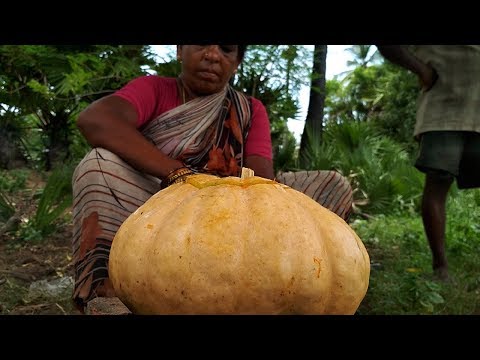Cooking Chicken In Pumpkin - Different Pumpkin Chicken Recipe Village Style - Steamed Chicken Recipe
