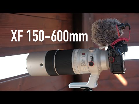 One month with the Fujifilm 150-600 - A wildlife lens