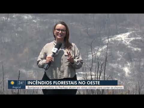 Bahia Meio Dia – Barreiras 19/09/2025