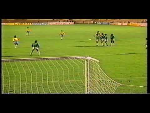 1991. Copa América. Brasil - Bolivia