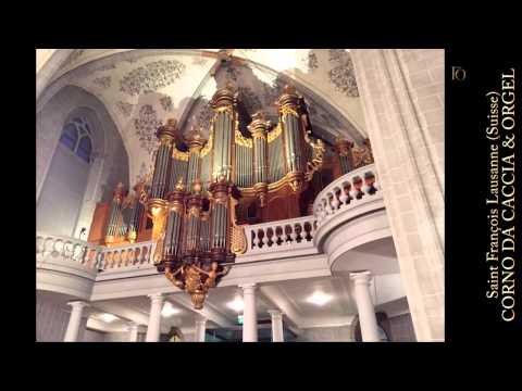 G. Ph. Telemann: Concerto D-Dur for Corno da caccia & Organ