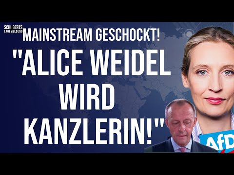 Panic in Berlin!💥The fear of losing power💥Leak💥Internal power plan of the AfD!💥ZDF scandal!
