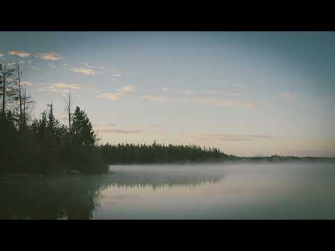 Cash & Ferven - Sentaku