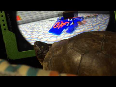 Sammie Likes Ali A Dropper OCULUS