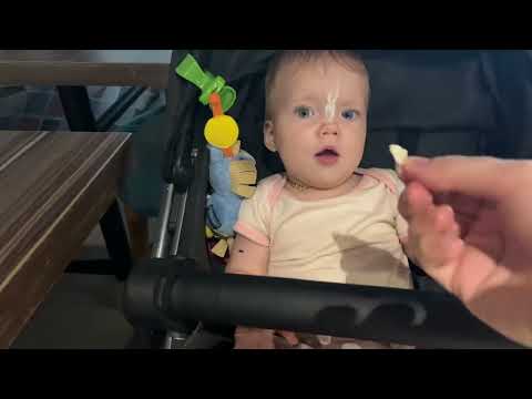 Aindra tries paneer masala dosa for the first time and sees a cat