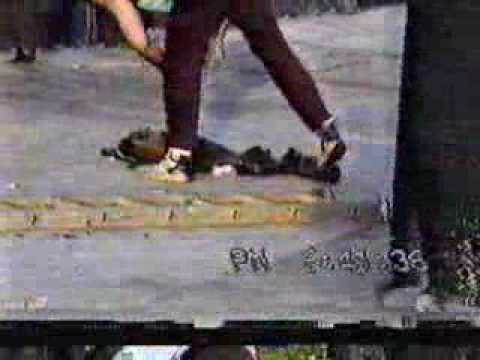 Bay Ridge Elvis boom.