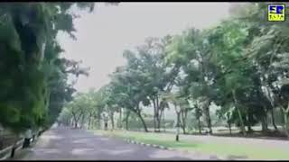 Download lagu Ratu sikumbang (burung pun ingat pulang) mp3