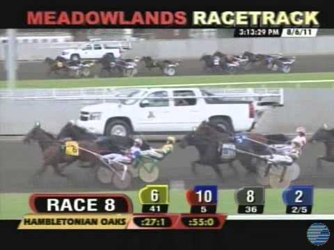 2011 Hambletonian Oaks - theharnessedge.com