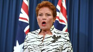One Nation wave threatens to reshape Australian politics