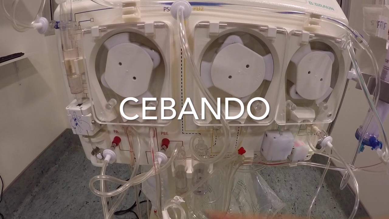 Renato Alberto Domínguez Briones-53