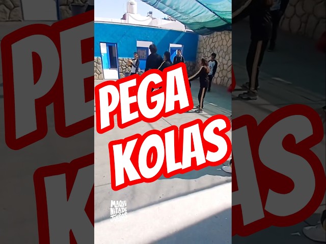 Vídeo relacionado con Juego de tubería de trabajo en equipo: juego de actividades portátil de medio tubo de PP, kit de entrenamiento de liderazgo educativo, herramienta de ejercicio para el parque al aire libre en el aula,