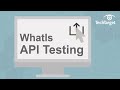 What Is API Testing And Why Is It Important