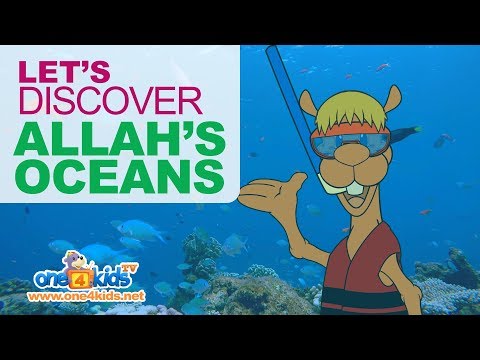 Let's Discover Allah's Oceans with Kazwa - Zaky's Learning Club