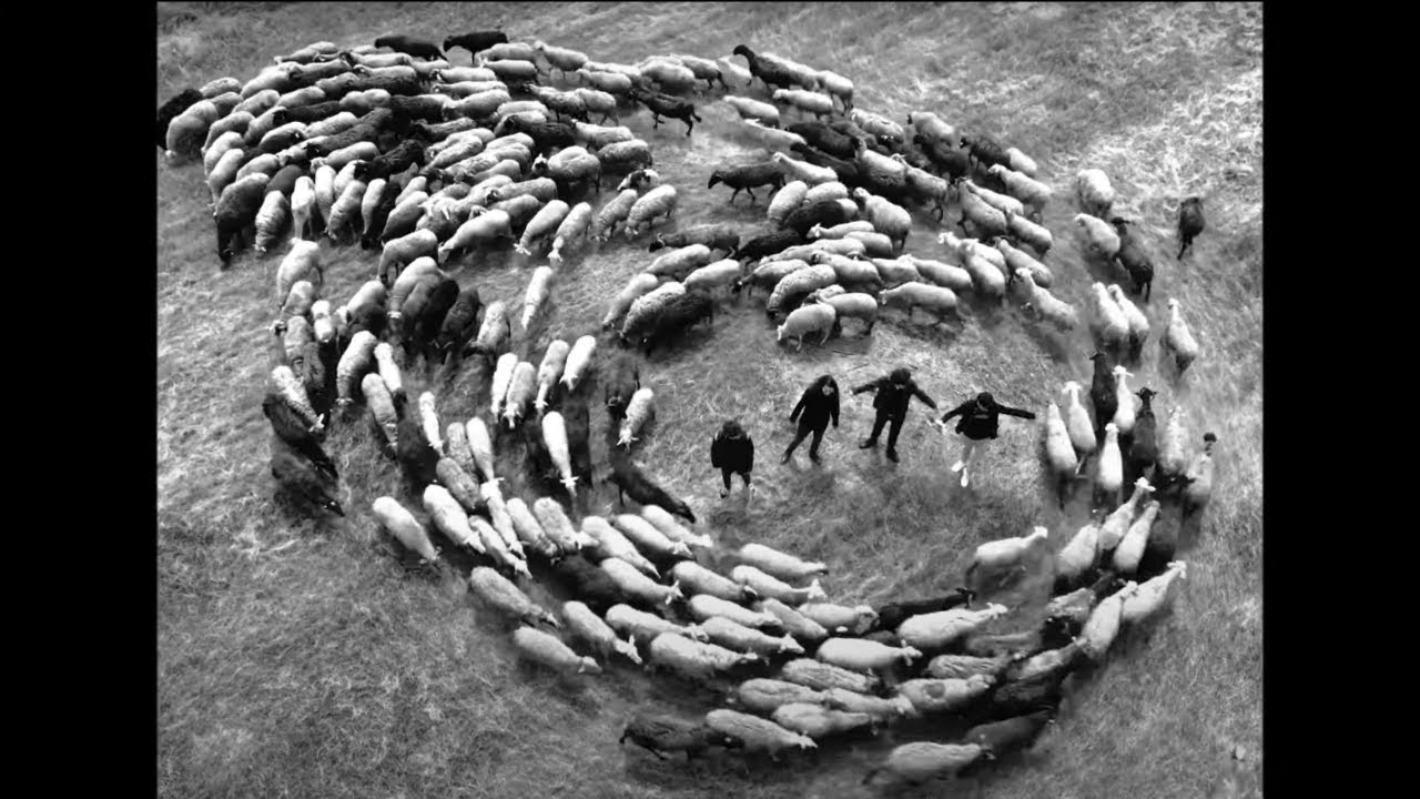 Perché gli animali girano in cerchio Bobby Solo, Marina Tonini, Marco Luzzatto - 28.11.22 Let's...