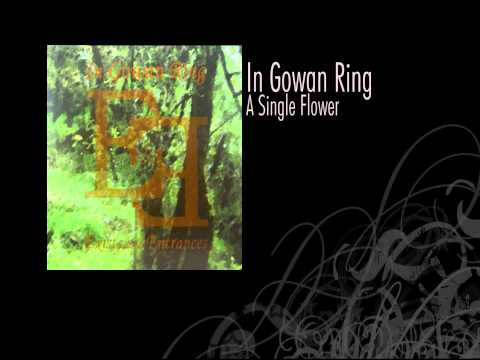 In Gowan Ring | A Single Flower