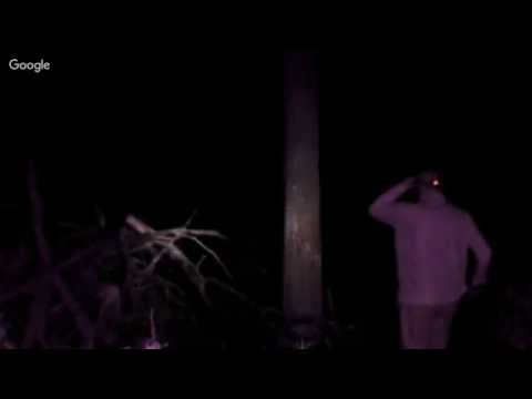 Bigfoot Search West Virginia