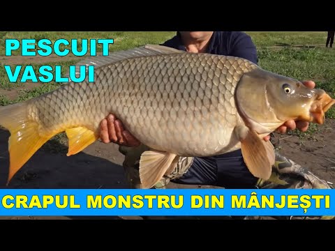 # Pescuit la CRAP Monstrul din  Manjesti VASLUI Captura vietii ( Moby Dick Huge Carp )