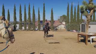 Love the music.....Dozer and that dang bridge!