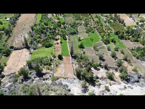 Chañaral de Caren, Ovalle, Región de Coquimbo. DJI 0196