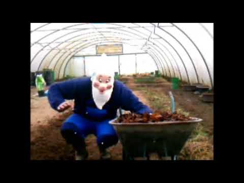 kurz mal reingeschaut beim doc