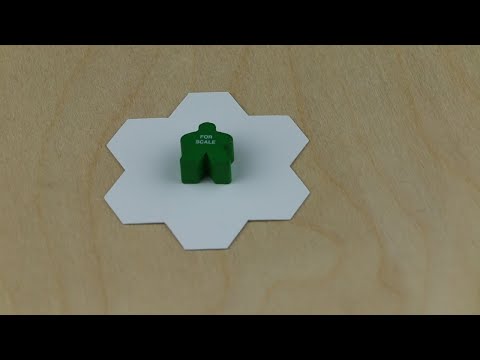 Blank Mat, Flower video