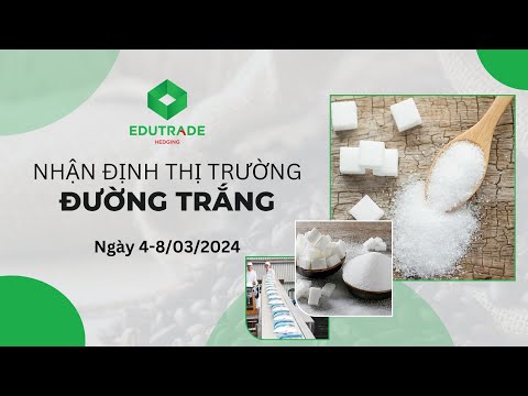 Nhận Định Thị Trường - Đường trắng (Ngày 4-8/03/2024)