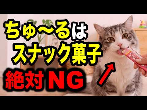ちゅ〜るはスナック菓子？こう言う獣医師を信じてはいけない【猫の食事がわかる本⑲ P61-62】