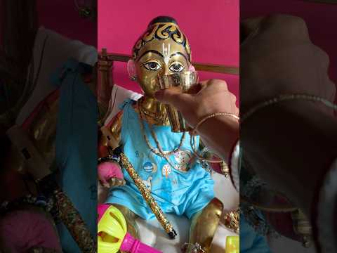 Amr Gopu's dream is a dream come true #gopu #krishna #radhakrishna #laddugopal #laddugopalshorts